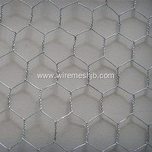 Galvanized Hexagonal Wire Netting For Making Covers